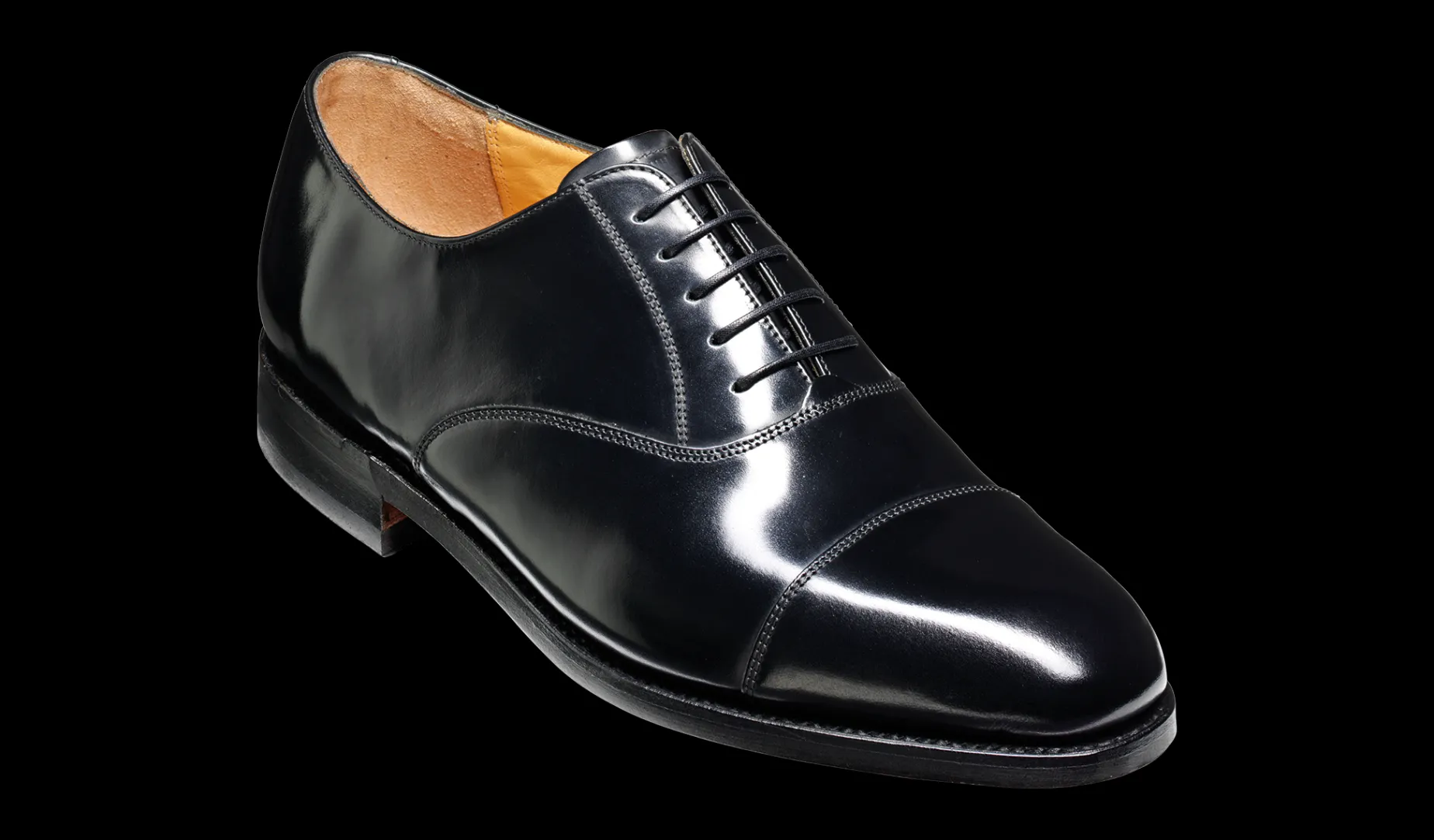 Arnold - Black Hi-Shine